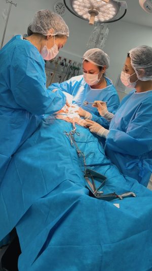 cirurgia-virginia2